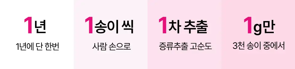 [로즈PDRN/촉촉광채] 아이소이 브라이트닝 팩 클렌징 폼 125ml 상세페이지 6